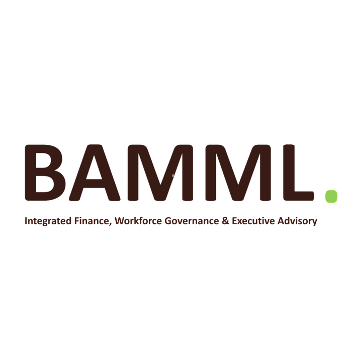 BAMML — Integrated Finance, Workforce Governance & Executive Advisory